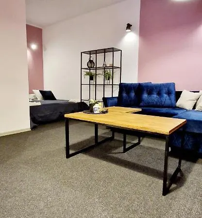 Apartamenty Daniłowskiego Piotrków Trybunalski Zewnętrze zdjęcie